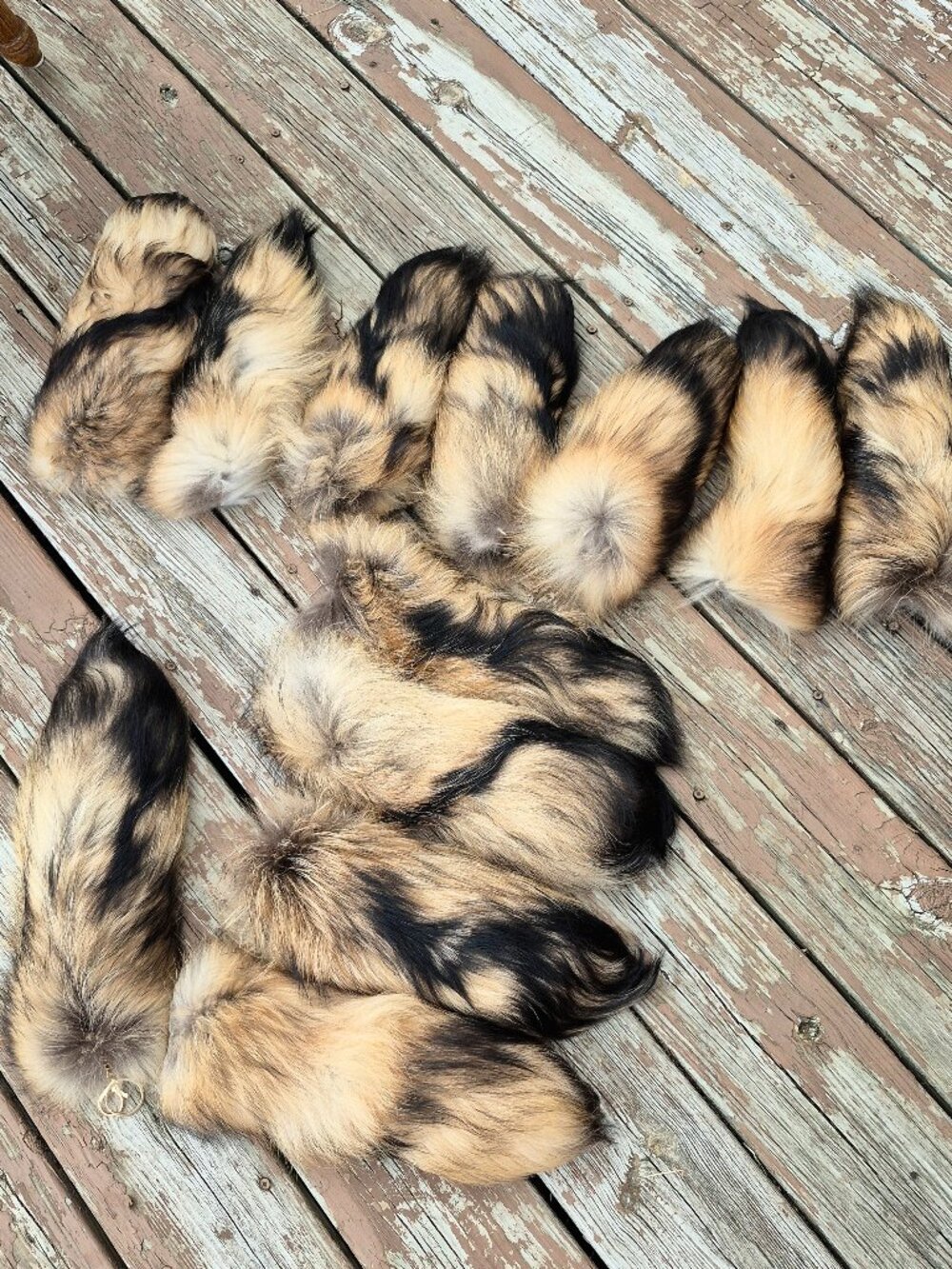 Huge Real Raccoon Tail, Keychain Bag Charm, Backpack Accessory, Boho style - Picture 6 of 6